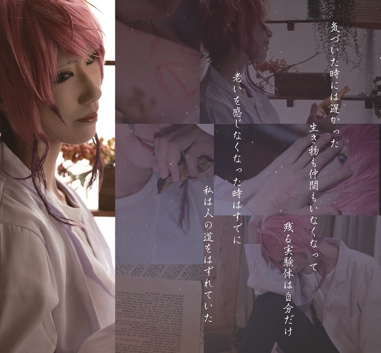 stellaイメージphotobook