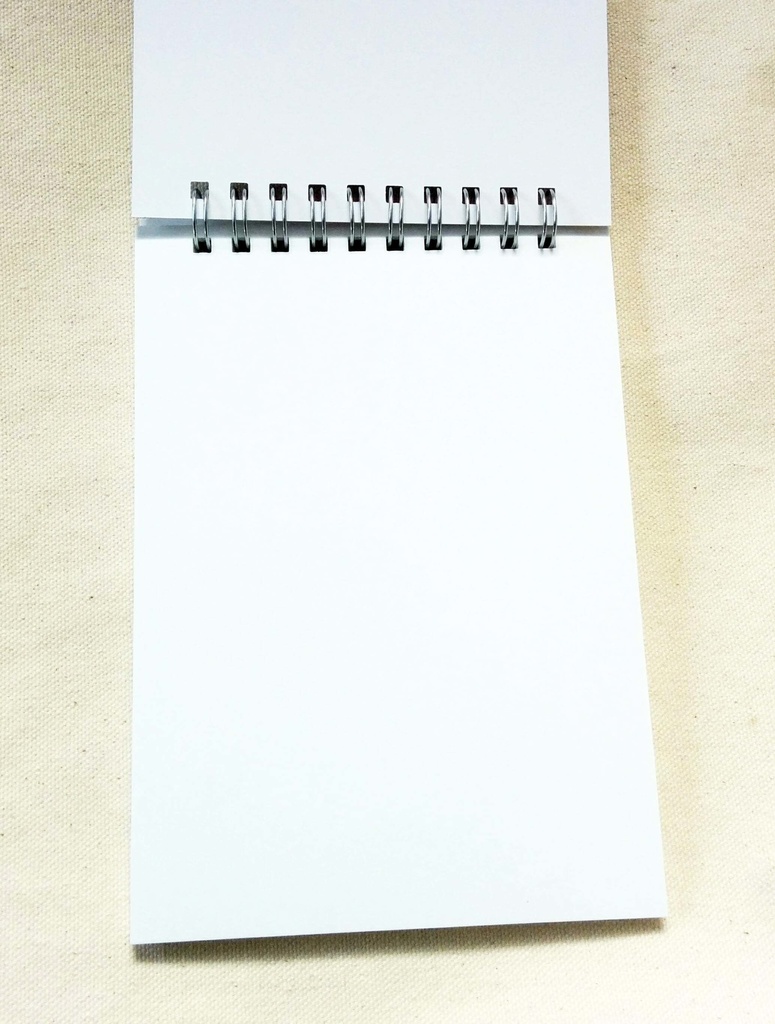 ラムネ&ロゼ メモ帳(フランケン娘)