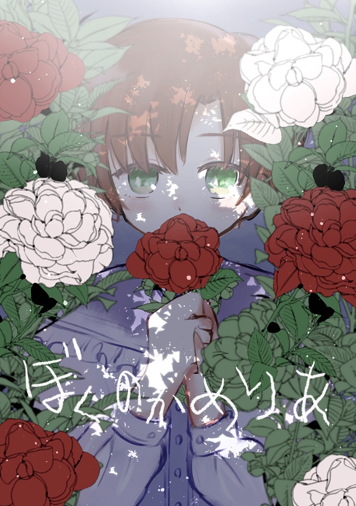 ぼくのかめりあ