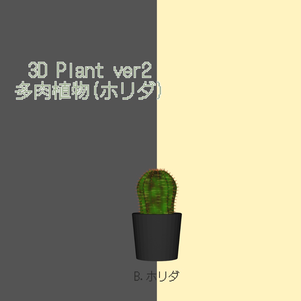 多肉植物 2.ホリダ