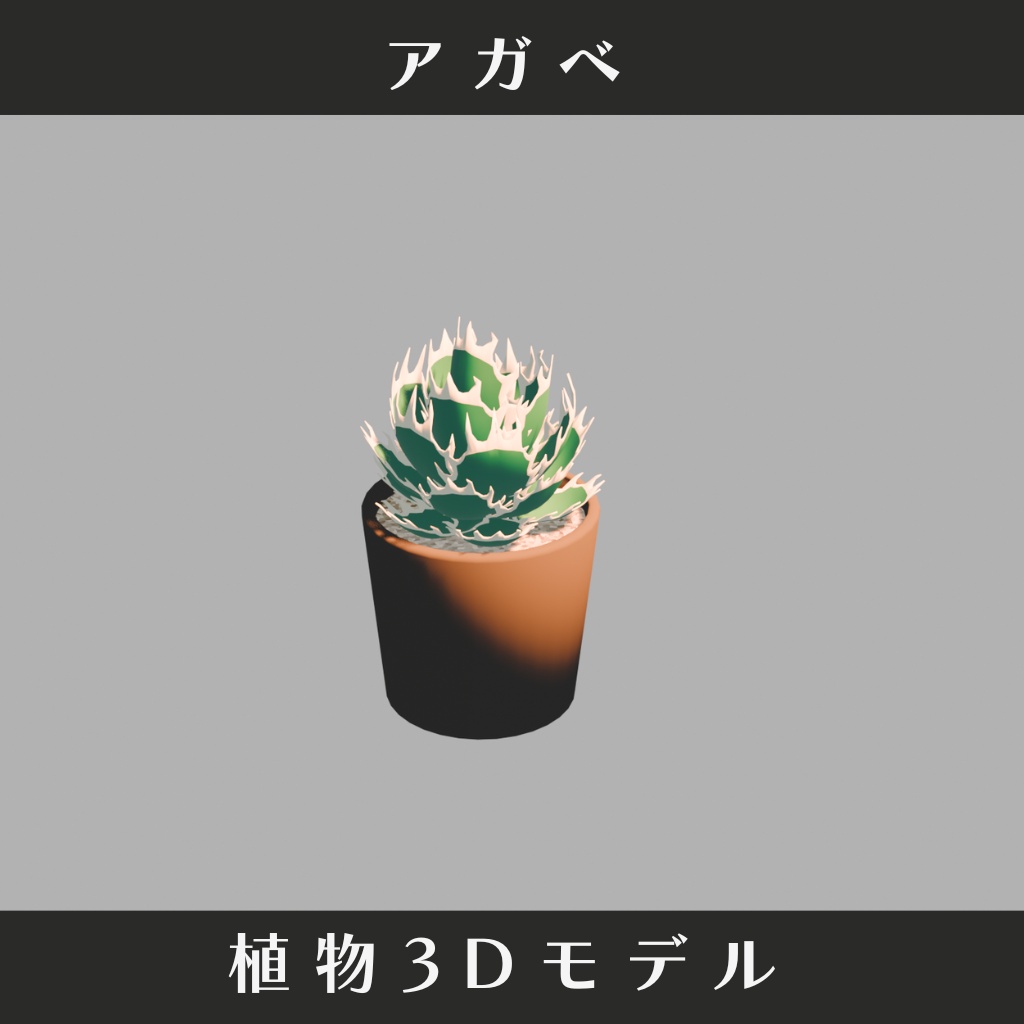 【3Dモデル】アガベ 