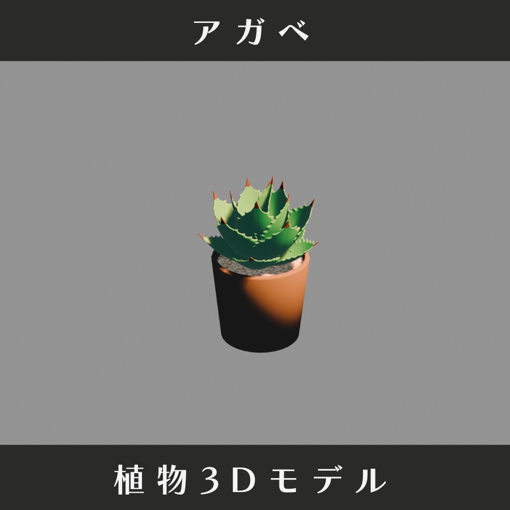 【3Dモデル】アガベ