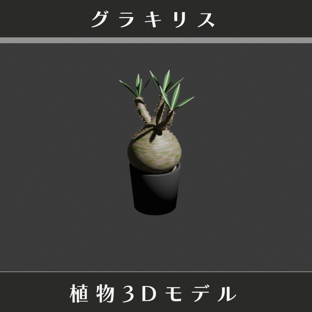 【3Dモデル】グラキリス