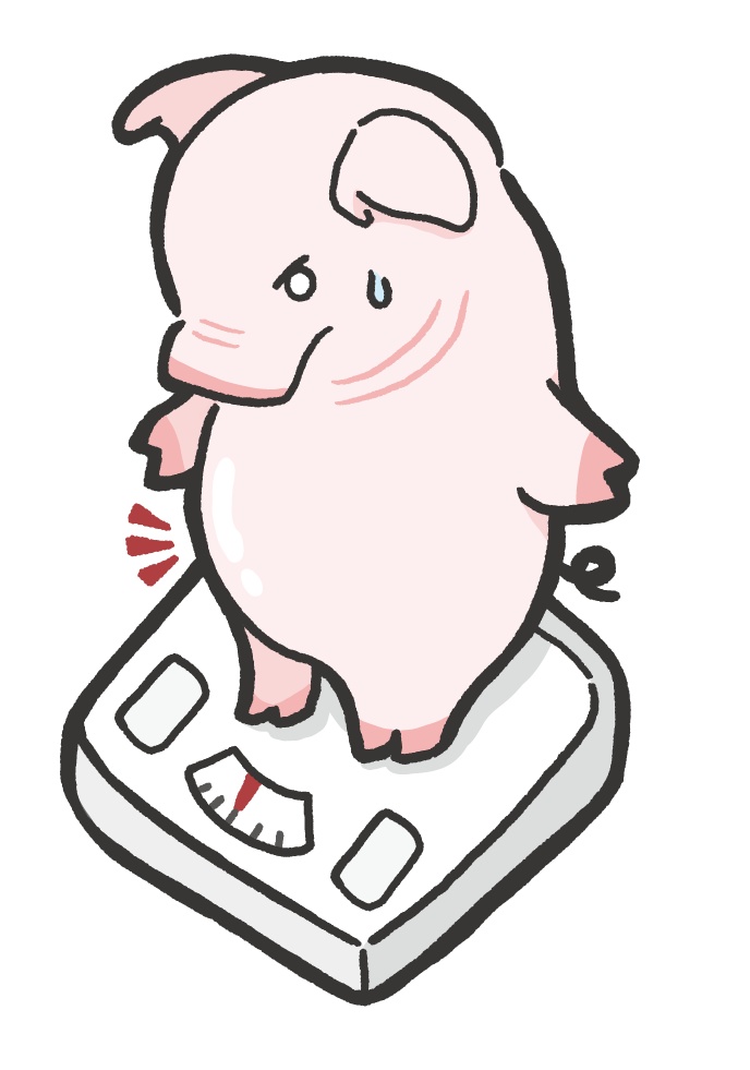 ぶーたんステッカー