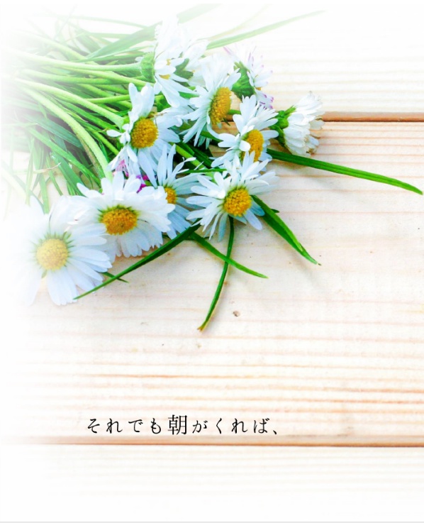それでも朝がくれば、
