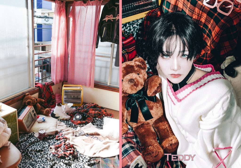 TEDDY写真集
