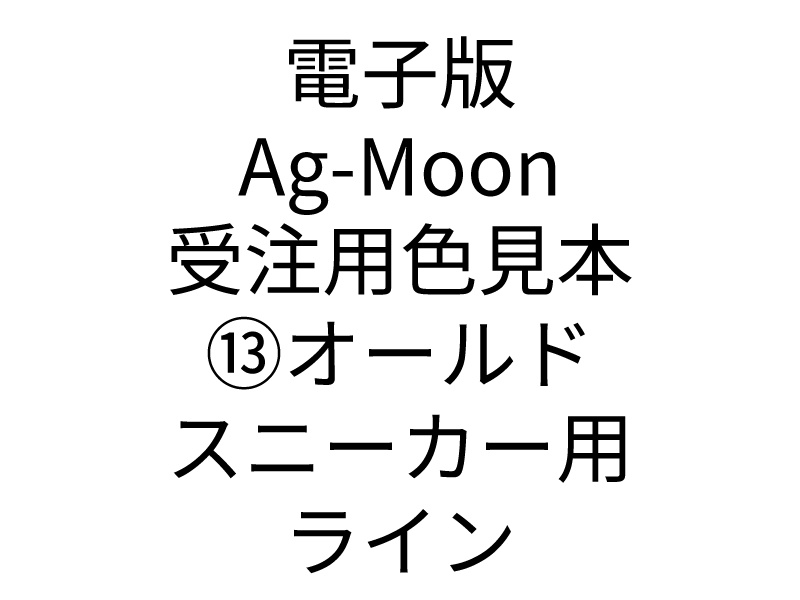 電子版　Ag-Moon受注用色見本　⑬オールドスニーカー用ライン