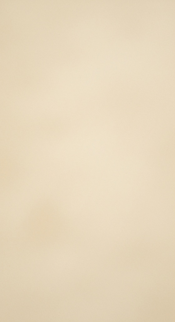 【淡色ストック工房】ほぼ同色の無地淡色背景素材|ベージュ|10枚セット