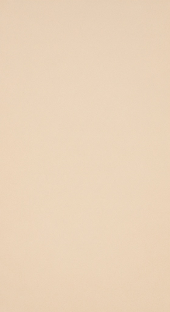 【淡色ストック工房】ほぼ同色の無地淡色背景素材|ベージュ|10枚セット