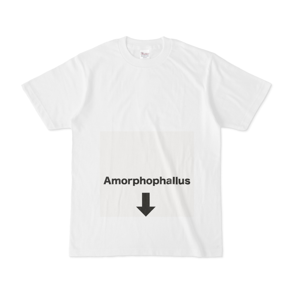 amorphosなphallosTシャツ