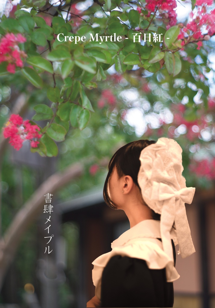 Crepe Myrtle -百日紅-