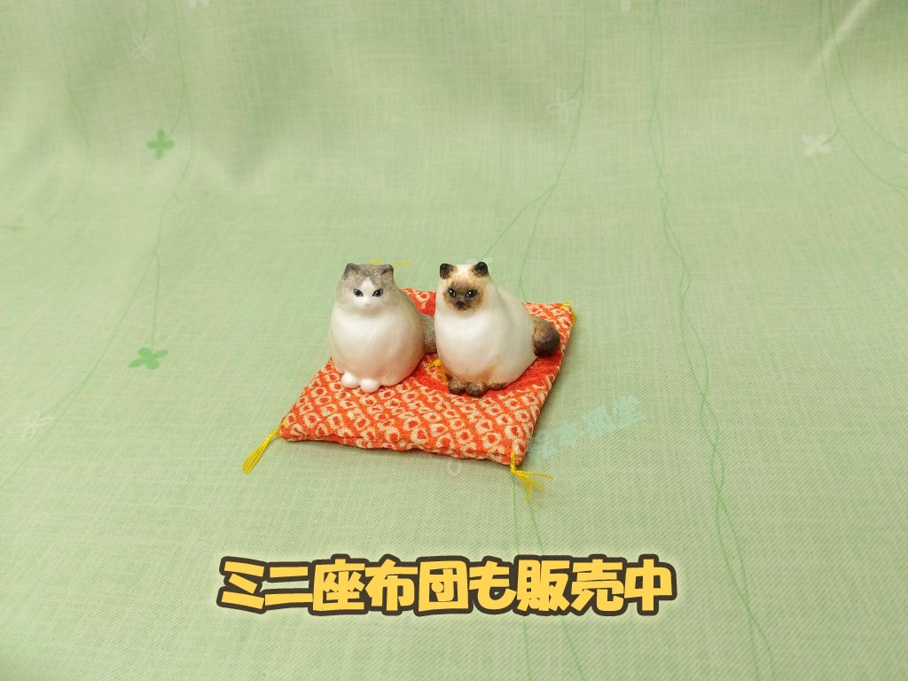 居る猫「おすまし」