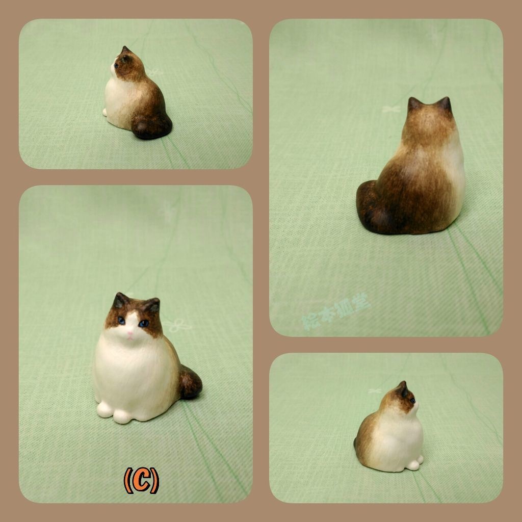 居る猫「おすまし」