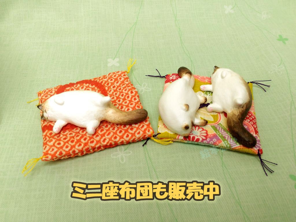 居る猫「おひるね」