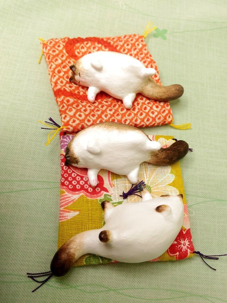 居る猫「おひるね」