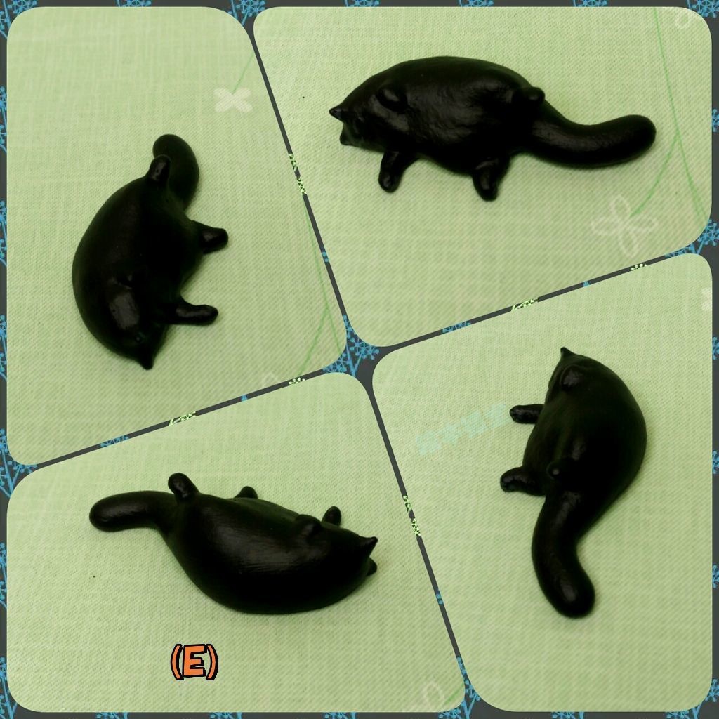 居る猫「おひるね」