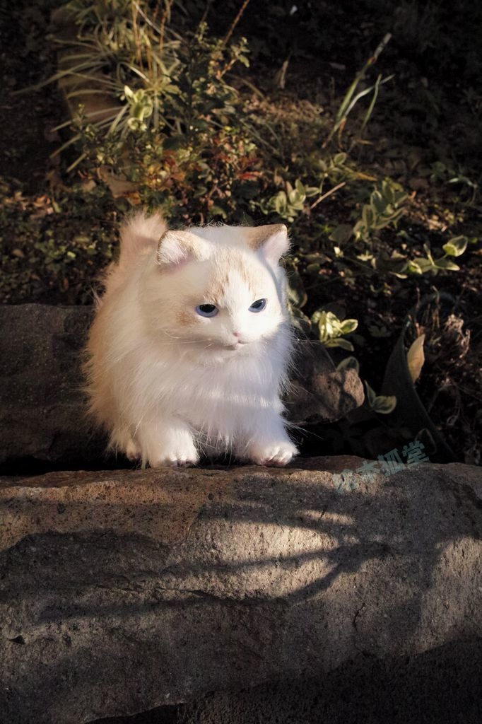 らぐねこぬいぐるみ S No.10