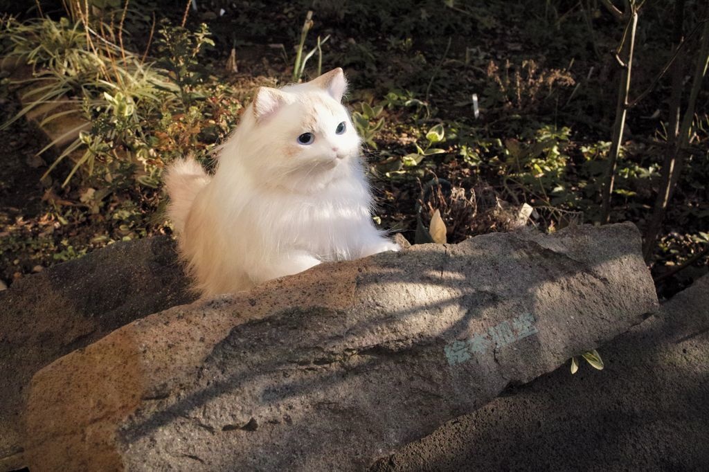 らぐねこぬいぐるみ S No.10