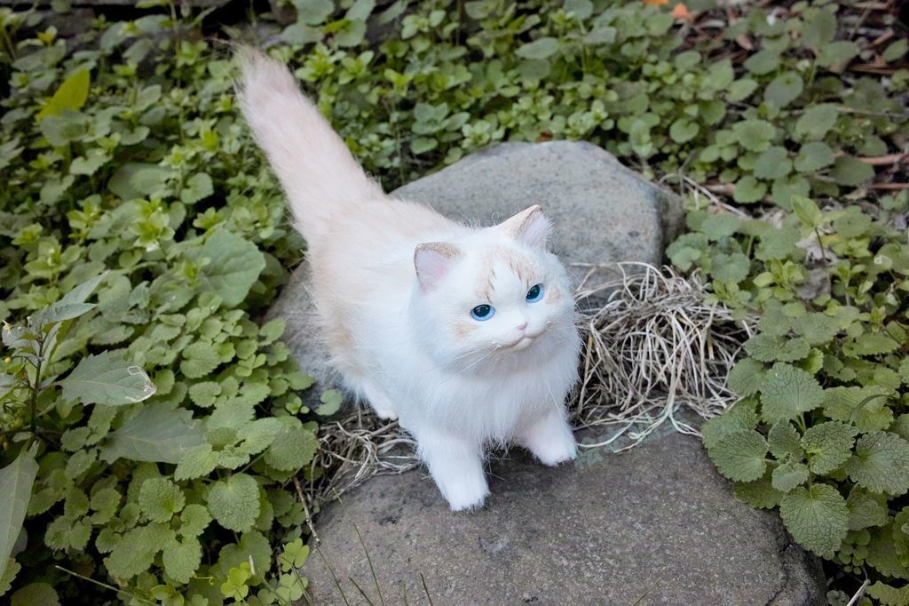 らぐねこぬいぐるみ S No.10