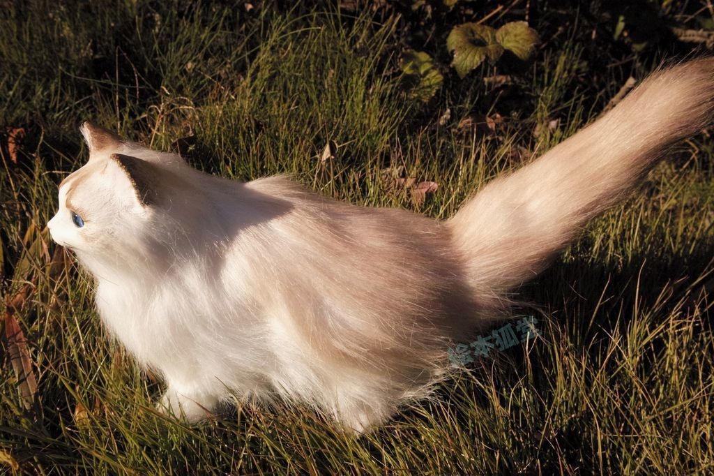 らぐねこぬいぐるみ M No.11