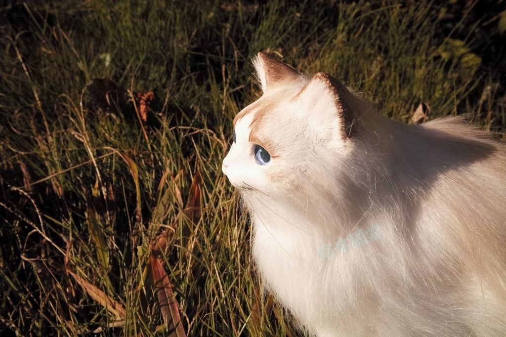 らぐねこぬいぐるみ M No.11