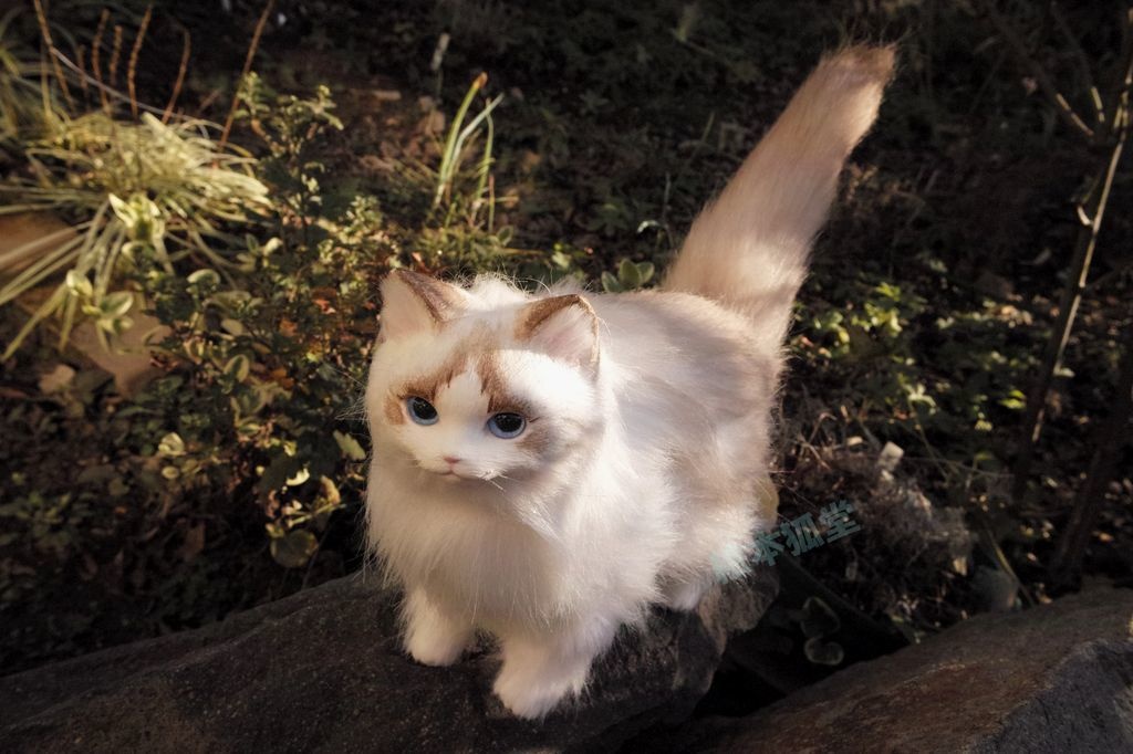 らぐねこぬいぐるみ M No.11