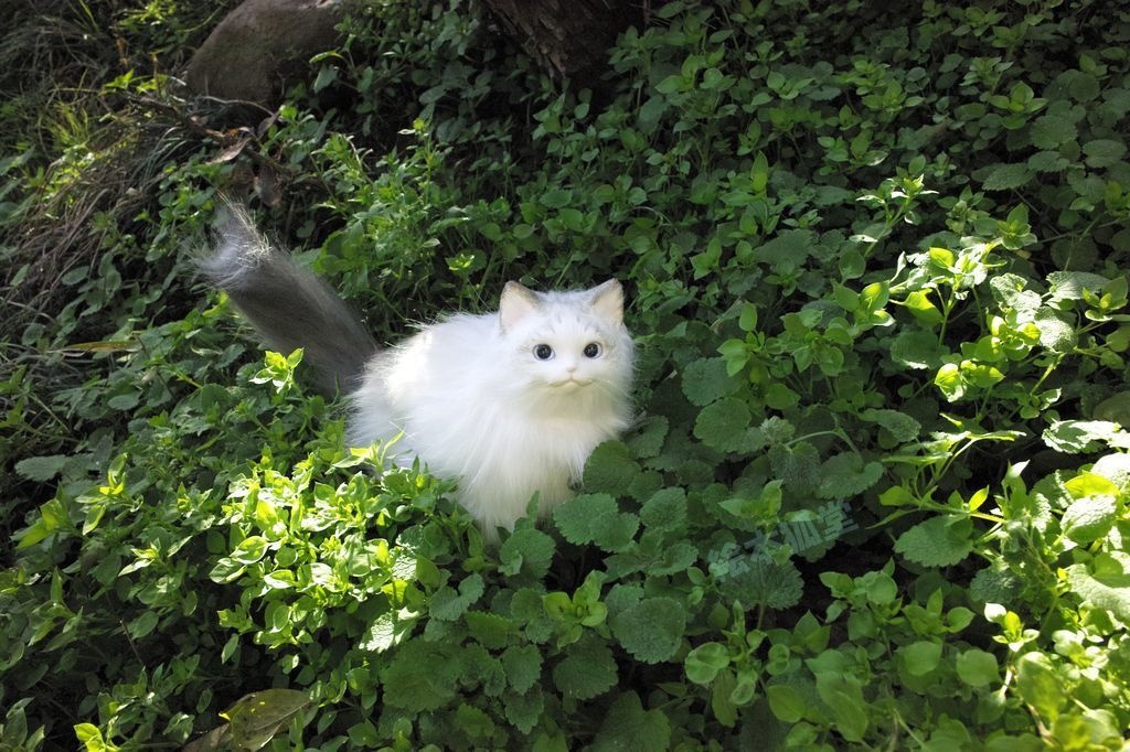 らぐねこぬいぐるみ M No.13