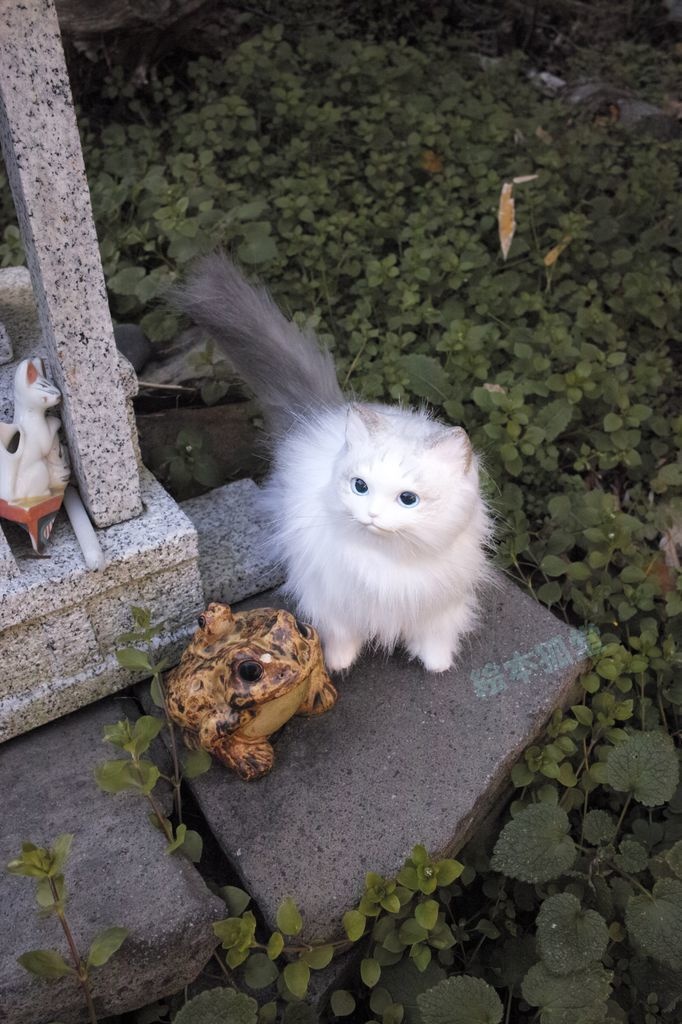 らぐねこぬいぐるみ M No.13