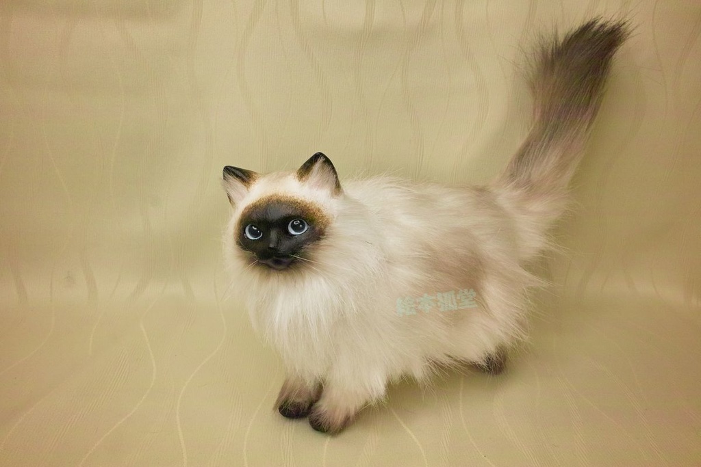 らぐねこぬいぐるみ M No.16