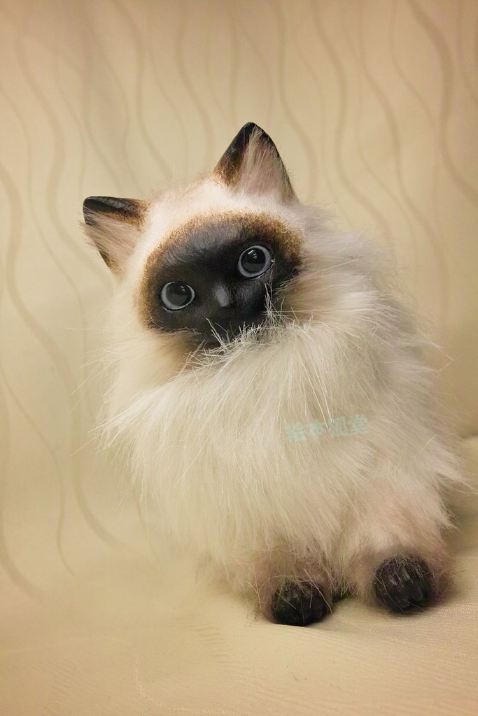 らぐねこぬいぐるみ M No.16