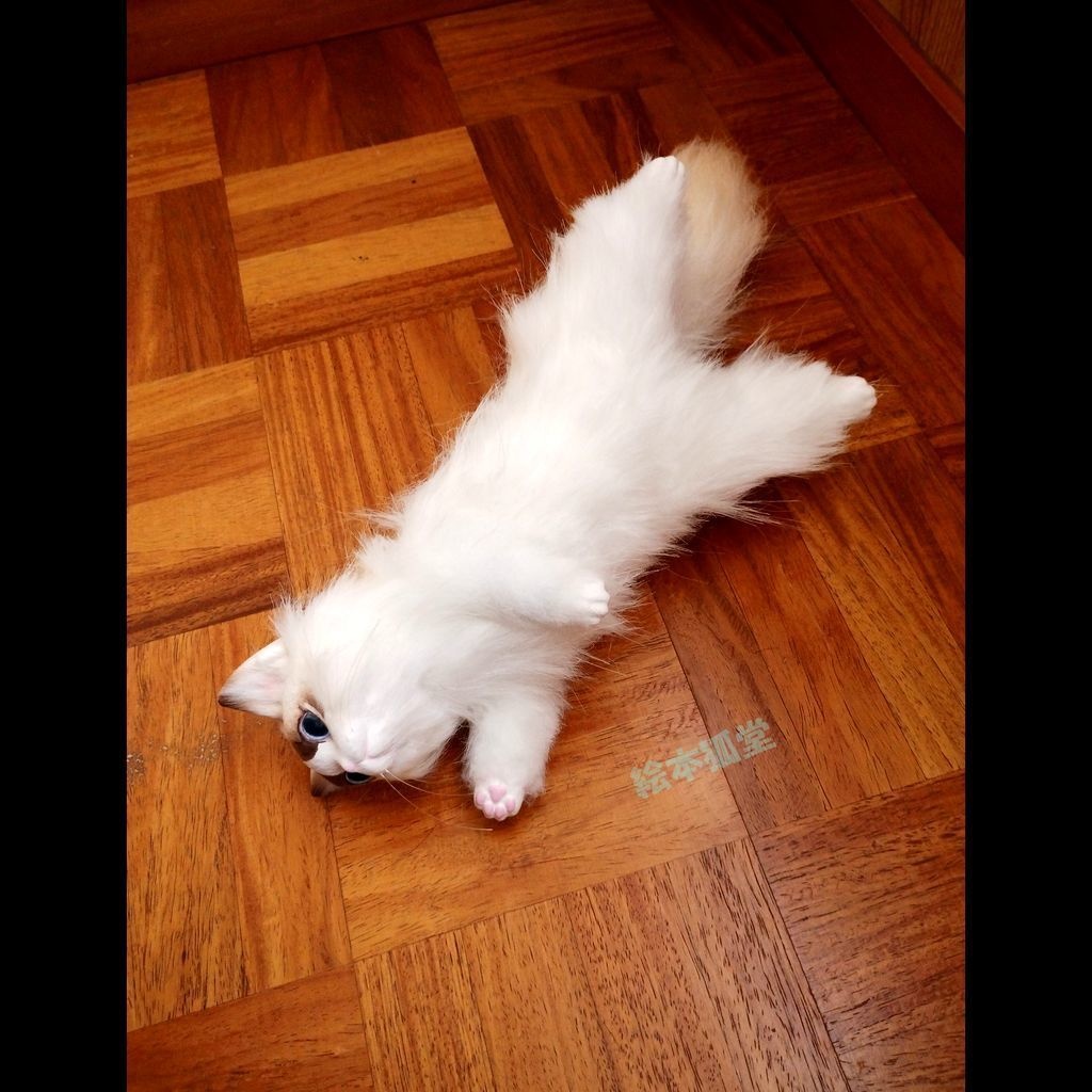 らぐねこビト No.18