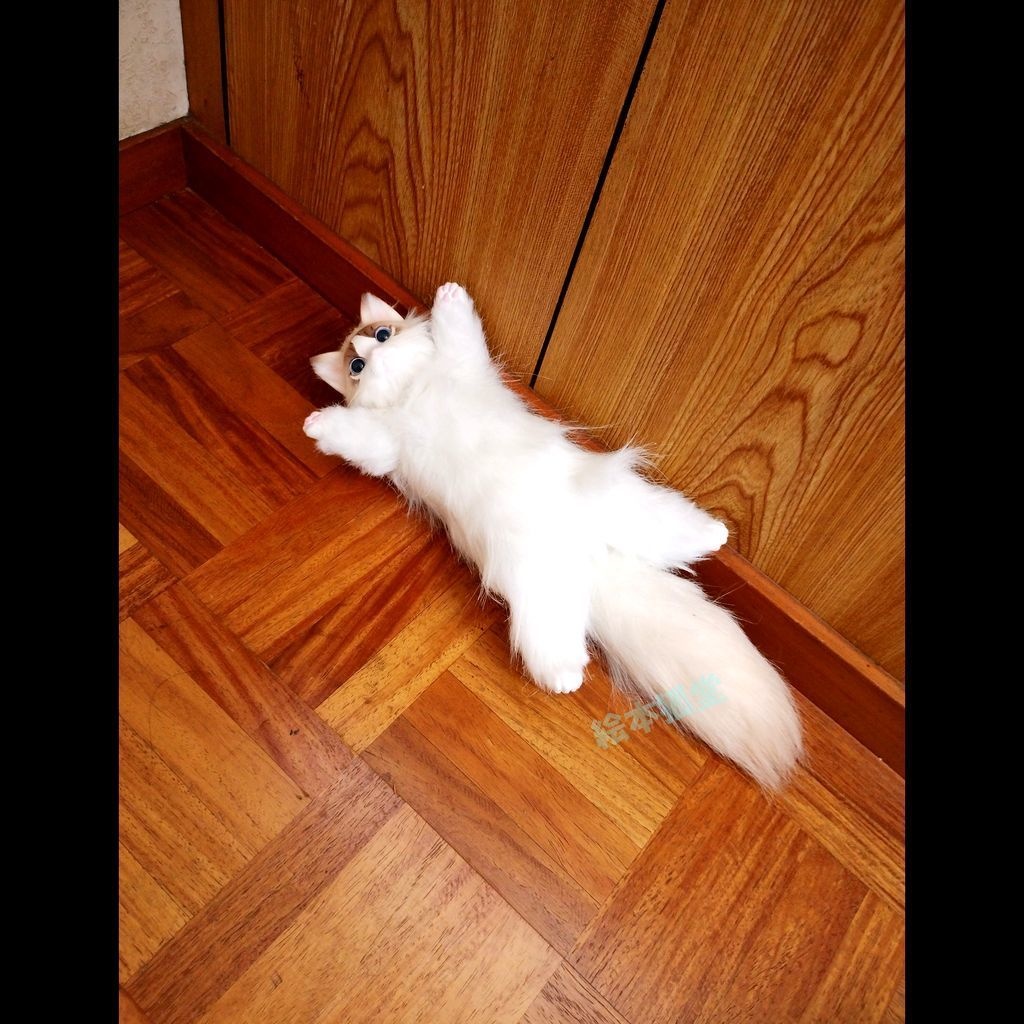 らぐねこビト No.18