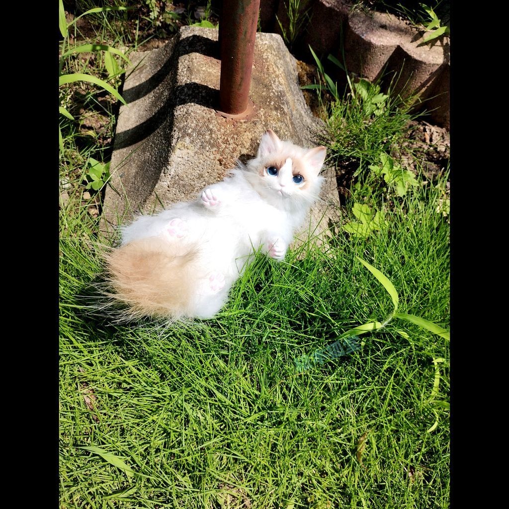 らぐねこビト No.18