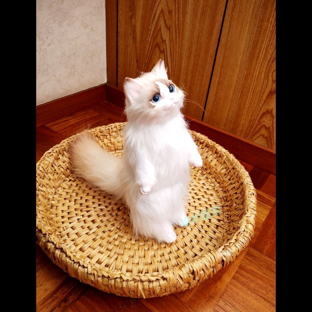 らぐねこビト No.18