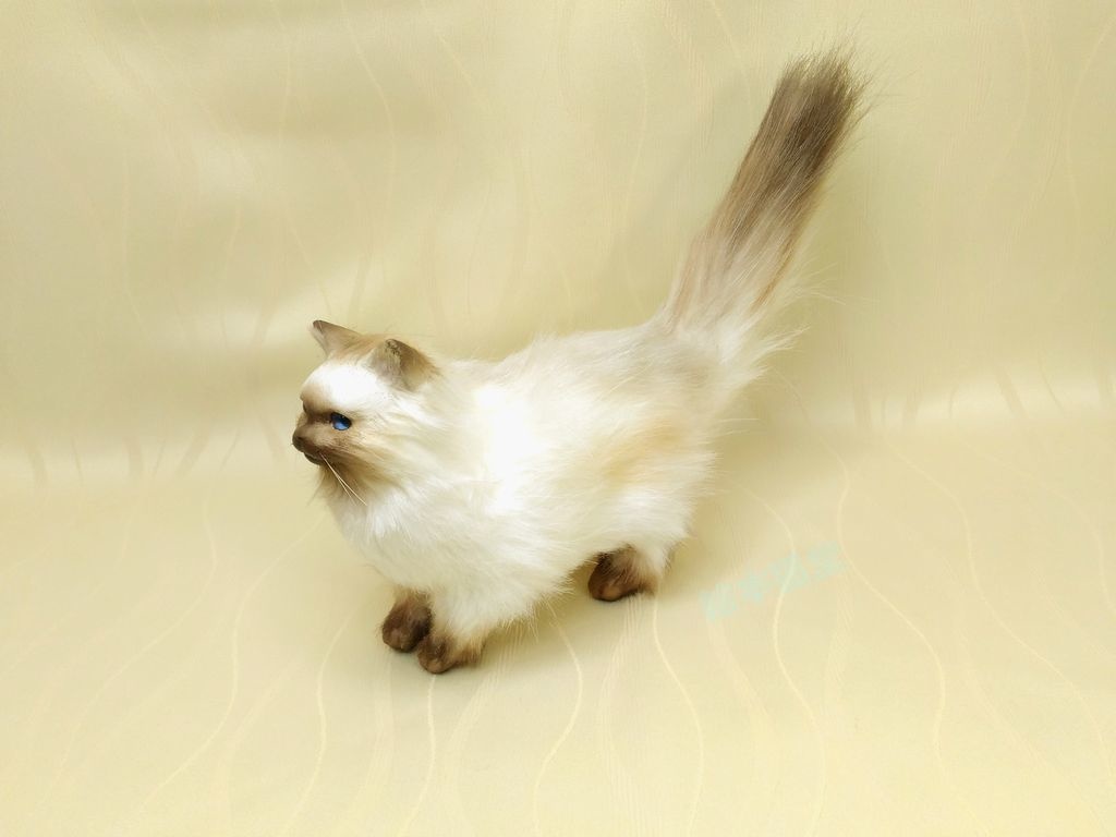 らぐねこぬいぐるみ S No.17