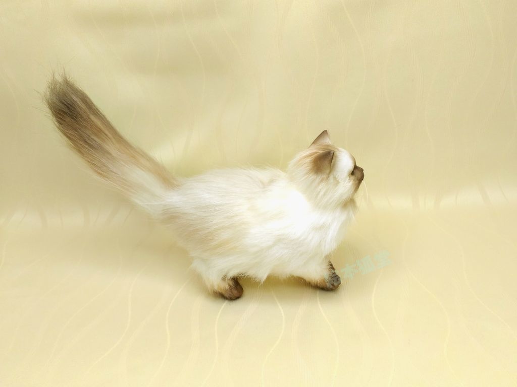 らぐねこぬいぐるみ S No.17