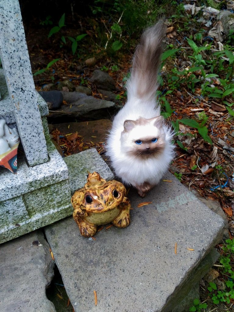 らぐねこぬいぐるみ S No.17