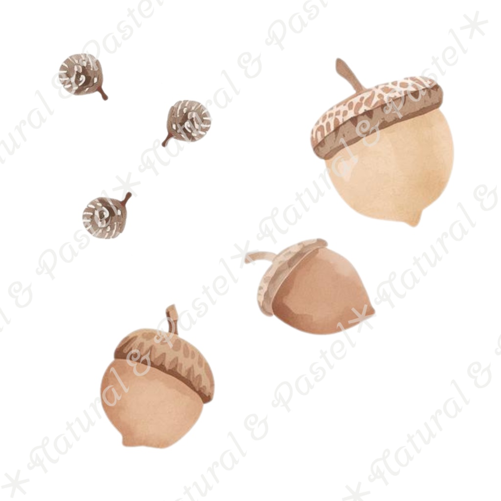 【🐇 森のうさぎと🦔ハリネズミ / 北欧風ガーデン】水彩クリップアート * 25点セット(PNG背景透過)