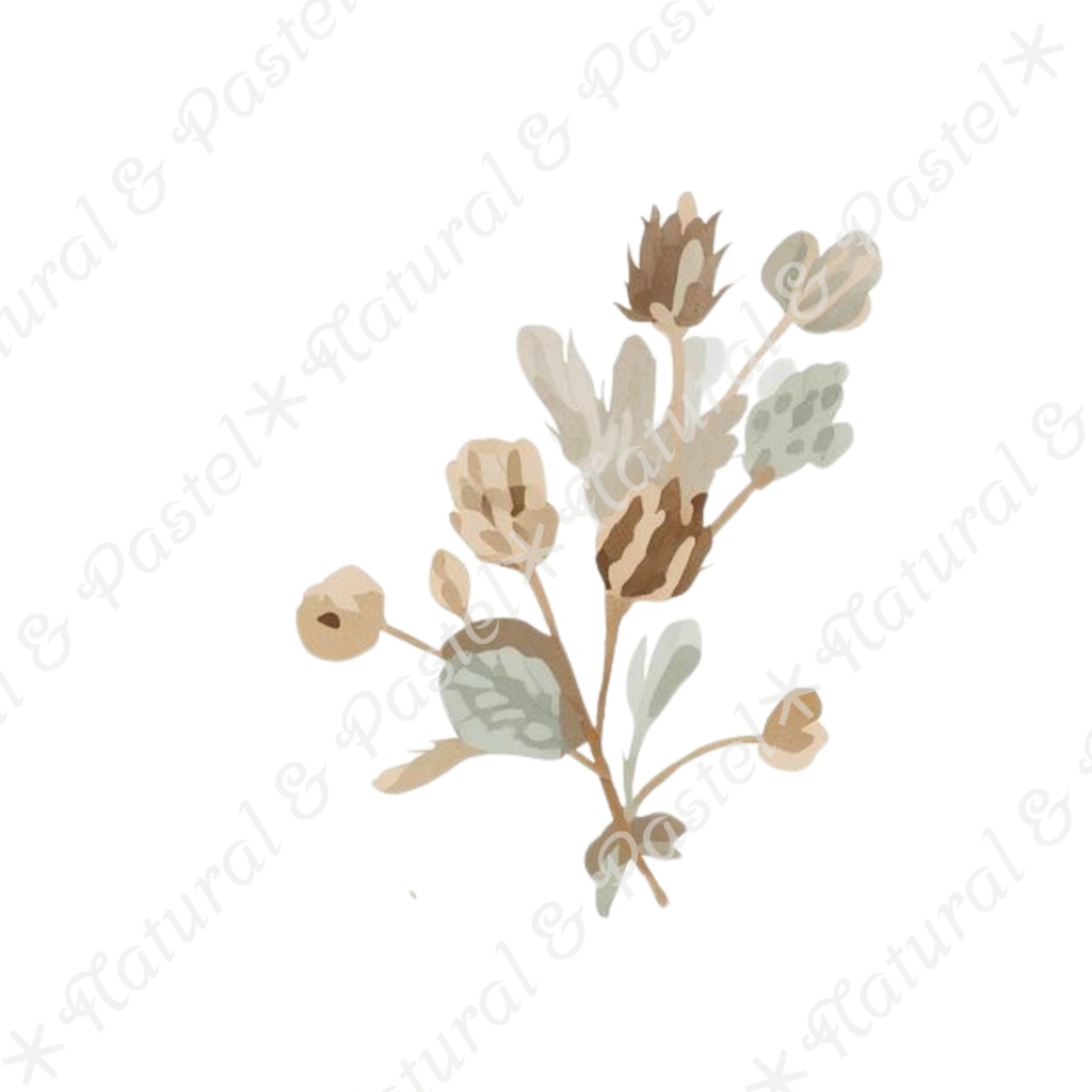 【🐇 森のうさぎと🦔ハリネズミ / 北欧風ガーデン】水彩クリップアート * 25点セット(PNG背景透過)