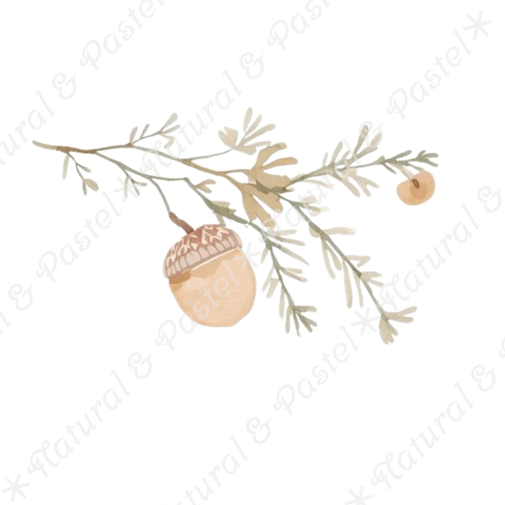 【🐇 森のうさぎと🦔ハリネズミ / 北欧風ガーデン】水彩クリップアート * 25点セット(PNG背景透過)