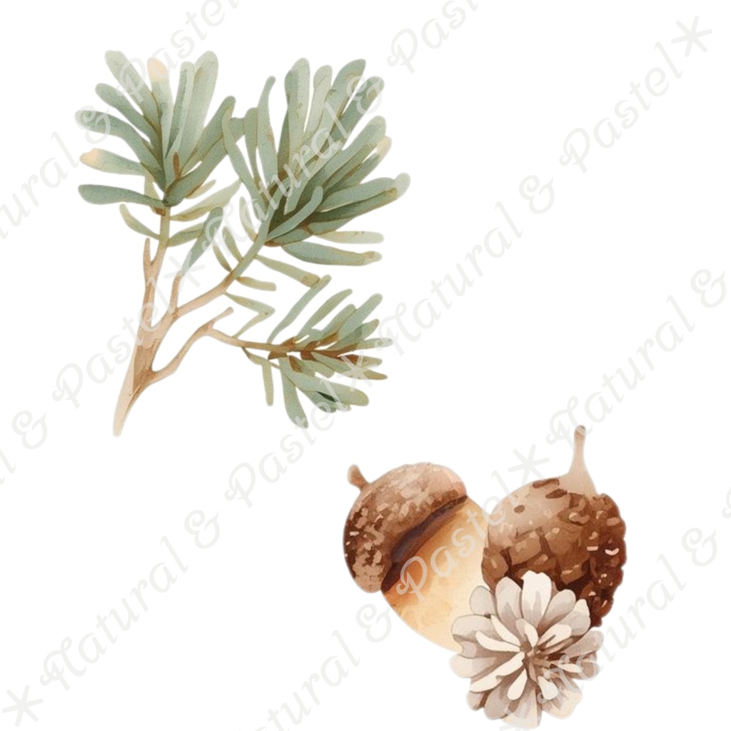 【🦉 森のフクロウと🦊キツネ / 北欧の森】水彩クリップアート * 25点セット(PNG背景透過)