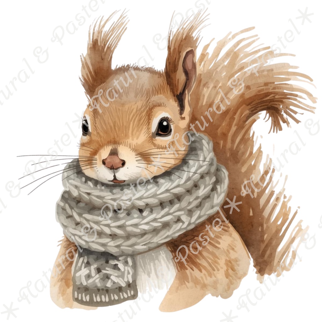 【🐿️ 森のリスと🦝アライグマ / 北欧の森】水彩クリップアート * 25点セット(PNG背景透過)