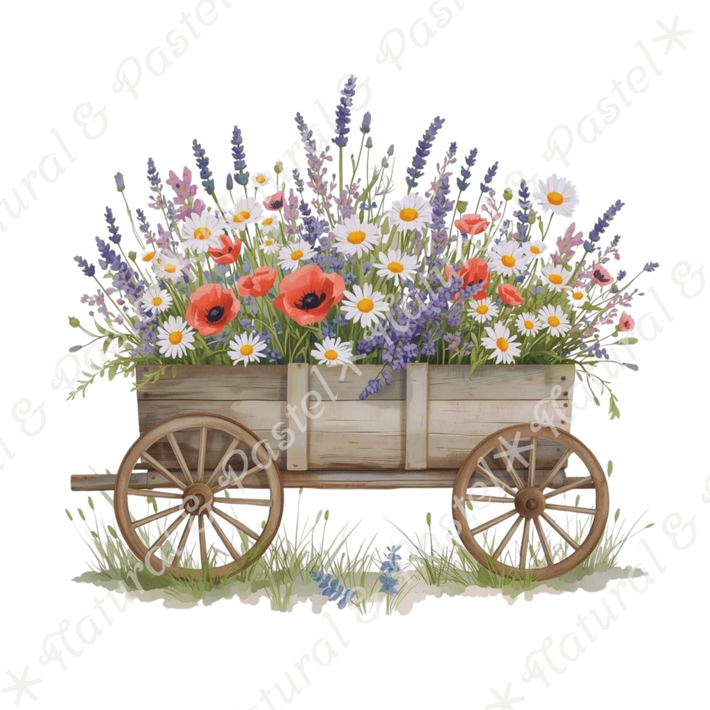 【🐿️ 森のリスと🦝アライグマ / 北欧の森】水彩クリップアート * 25点セット(PNG背景透過)