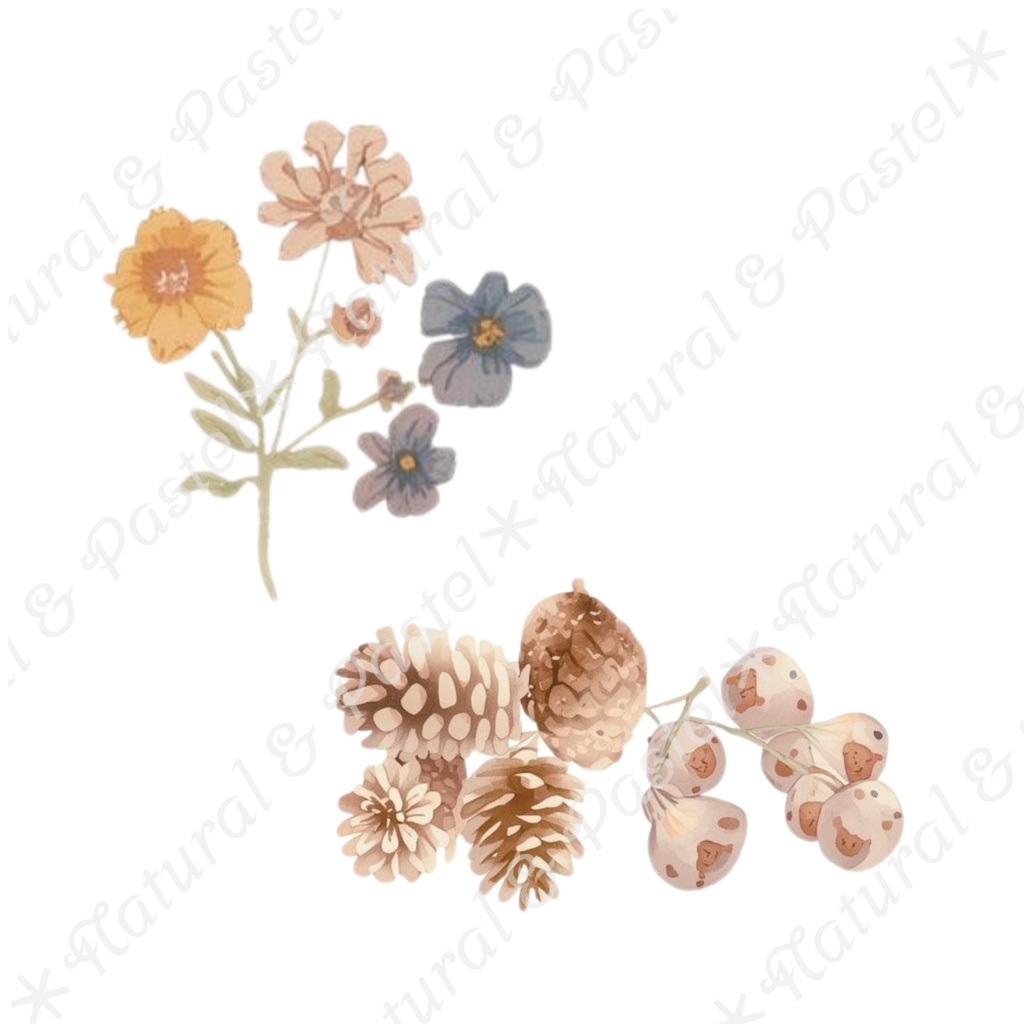 【🐿️ 森のリスと🦝アライグマ / 北欧の森】水彩クリップアート * 25点セット(PNG背景透過)