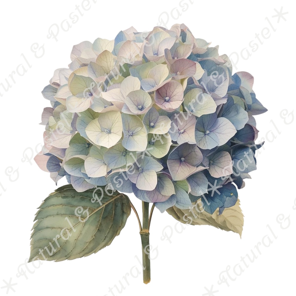 ãð¿ãã©ã€ãã©ã¯ãŒãšã¢ã³ãã£ãŒã¯éè²šãæ°Žåœ©ã¯ãªããã¢ãŒã ïŒ 30ç¹ã»ããïŒPNGèæ¯ééïŒ