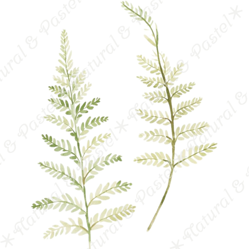 ãð¿ãã©ã€ãã©ã¯ãŒãšã¢ã³ãã£ãŒã¯éè²šãæ°Žåœ©ã¯ãªããã¢ãŒã ïŒ 30ç¹ã»ããïŒPNGèæ¯ééïŒ