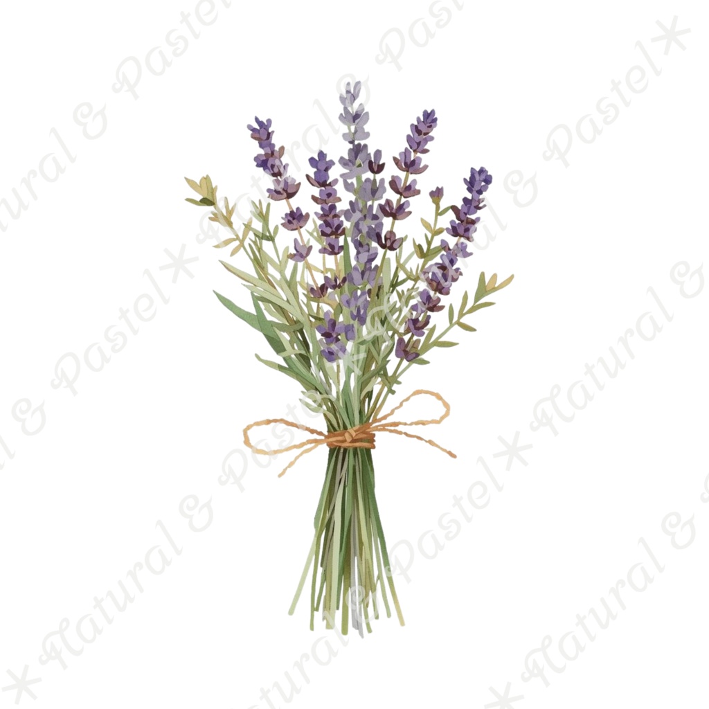 ãð¿ãã©ã€ãã©ã¯ãŒãšã¢ã³ãã£ãŒã¯éè²šãæ°Žåœ©ã¯ãªããã¢ãŒã ïŒ 30ç¹ã»ããïŒPNGèæ¯ééïŒ