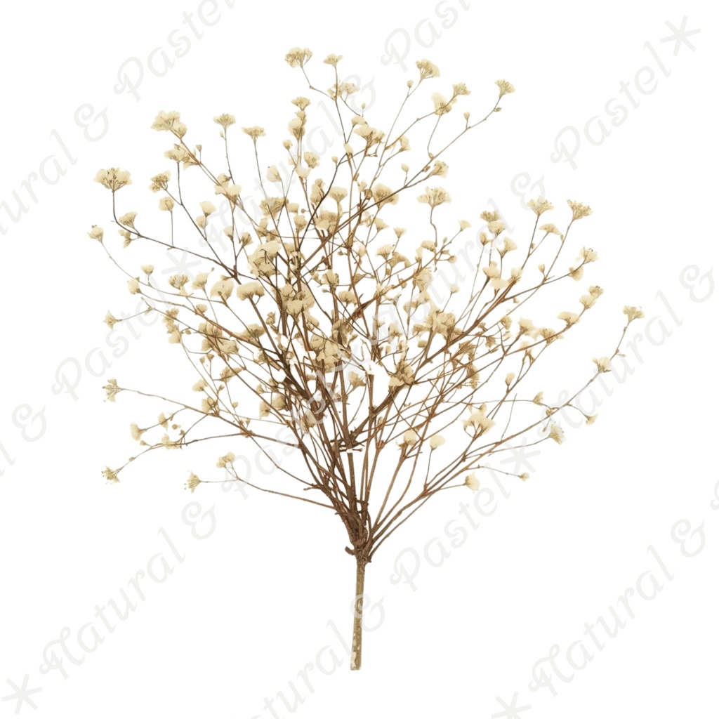 ãð¿ãã©ã€ãã©ã¯ãŒãšã¢ã³ãã£ãŒã¯éè²šãæ°Žåœ©ã¯ãªããã¢ãŒã ïŒ 30ç¹ã»ããïŒPNGèæ¯ééïŒ