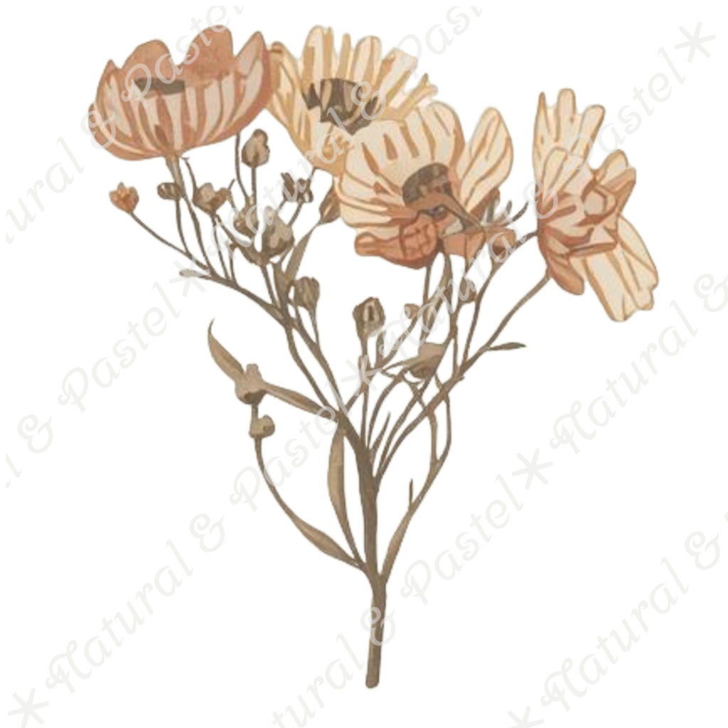 ãð¿ãã©ã€ãã©ã¯ãŒãšã¢ã³ãã£ãŒã¯éè²šãæ°Žåœ©ã¯ãªããã¢ãŒã ïŒ 30ç¹ã»ããïŒPNGèæ¯ééïŒ