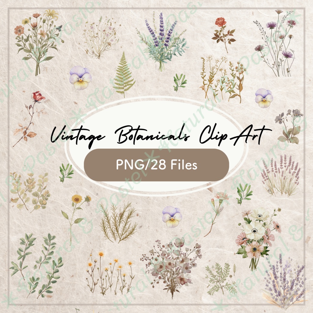 🌿【Vintage Botanicals】水彩クリップアート ＊ 28点セット（PNG背景透過）